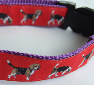 photo of Beagle Collar - Red on Purple Woven