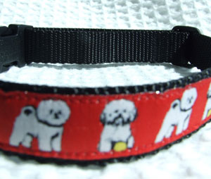 photo of Woven Collar - Bichon - Red on Black