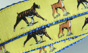 photo of Woven Lead - Boxer Yellow on Blue