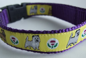 photo of Woven Collar - Cairn Terrier - Yellow on Purple