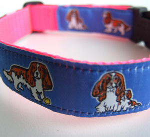 photo of Cavalier King Charles Blenheim Collar Blue on Pink Woven