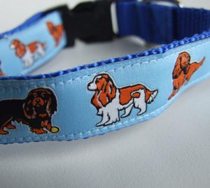 photo of Woven Collar - King Charles Spaniel with Butterflies - Blue
