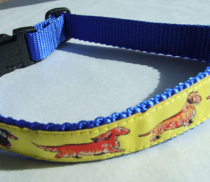 photo of Woven Collar - Dachshund (Standard) Yellow on Blue