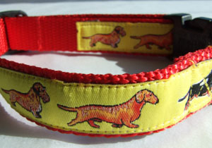 photo of Woven Collar - Standard Dachshund - Yellow on Red
