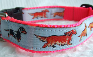photo of Woven Collar - Standard Dachshund - Blue on Pink