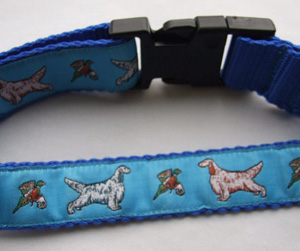 photo of Woven Collar - English Setter - Turquoise on Blue