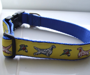 photo of Woven Collar - English Setter - Yellow on Blue