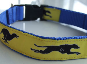 photo of Woven Collar - Greyhound Yellow on Blue