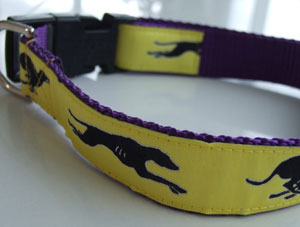 photo of Woven Collar - Greyhound Yellow on Purple