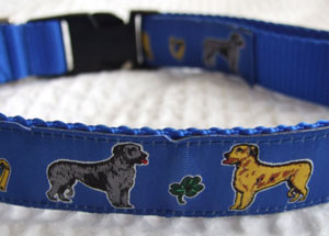 photo of Irish Wolfhound Blue Collar