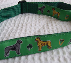 photo of Irish Wolfhound Green Collar