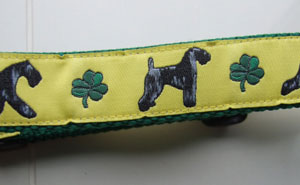 photo of Kerry Blue Yellow on Green Collar