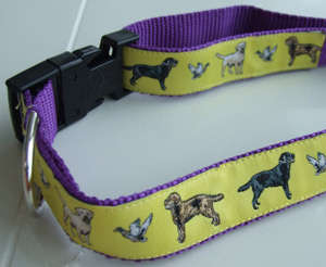 photo of Woven Collar - Golden Labrador - Yellow on Purple