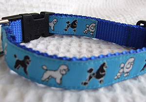 photo of Miniature Poodle Blue Woven Collar