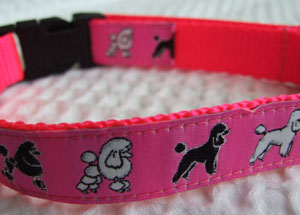 photo of Miniature Poodle Pink Woven Collar