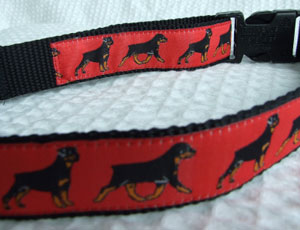 photo of Rottweiler Red on Black Collar