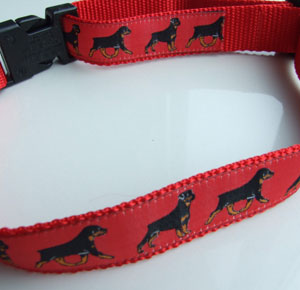 photo of Rottweiler Red Collar