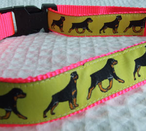 photo of Rottweiler Yellow on Pink Collar