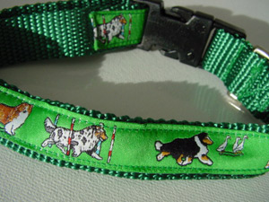 photo of Sheltie Green Woven Collar