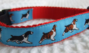 photo of Woven Collar - Springer Spaniel Blue on Red