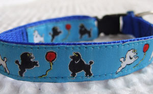 photo of Blue Toy Poodle Woven Collar