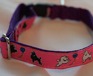 photo of Pink on Purple Toy Poodle Woven Collar