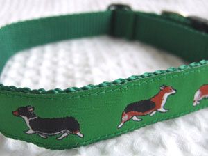 photo of Woven Collar for Welsh Corgi - Green ribbon with image of corgi sewn onto green nylon webbing