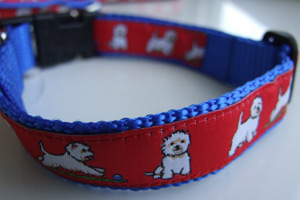 photo of Westie Red on Blue Woven Collar