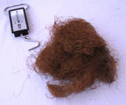Ginger curly fibre