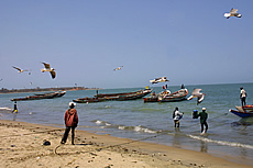 Gambia Tour Guide -  the shore