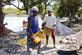 Gambia local tour guide - women sorting shells