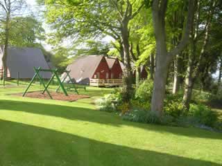 Kiddies Swings