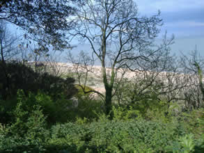 Beach by Chalet Tamarinda: Kingsdown Holiday Park