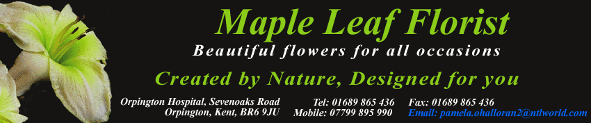 Maple Leaf Florist Orpington Hospital