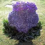 thistle Bespoke Designer Funeral Tribute