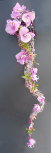 Click to Enlarge The Bridal Ribbon