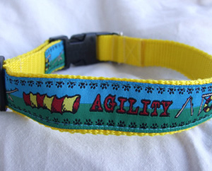 photo of Woven Collar - Agility - Blue/Green on Yellow