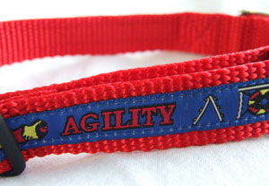 photo of Woven Collar - Agility - Blue on Red
