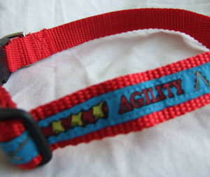 photo of Woven Collar - Agility - Blue on Red