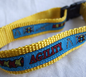 photo of Woven Collar - Agility - Blue on Yellow