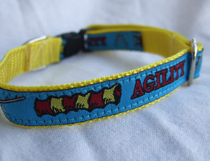 photo of Woven Collar - Agility - Small - Blue on Yellow