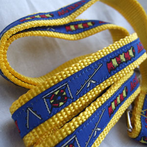 photo of Woven Lead - Agility - Medium - Blue on Yellow