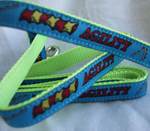 photo of Woven Lead - Agility - Small - Blue on Green