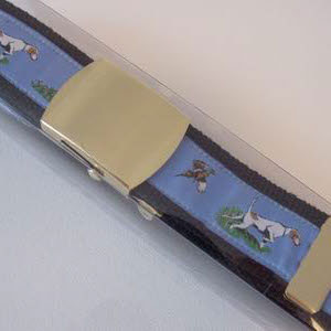 photo of Pointer Belt Blue