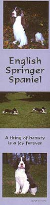 photo of English Springer Spaniel Bookmark