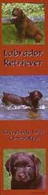 photo of Chocolate Labrador Bookmark