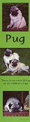 photo of Pug Bookmark