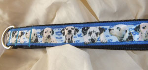 photo of Dalmatian Printed Collar - 25mm Band Width