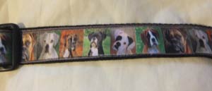 photo of Printed Collar - Boxer