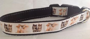 photo of Printed Dog Collar - Chihuahua